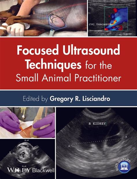 Focused Ultrasound Techniques for the Small Animal Practitioner Doc